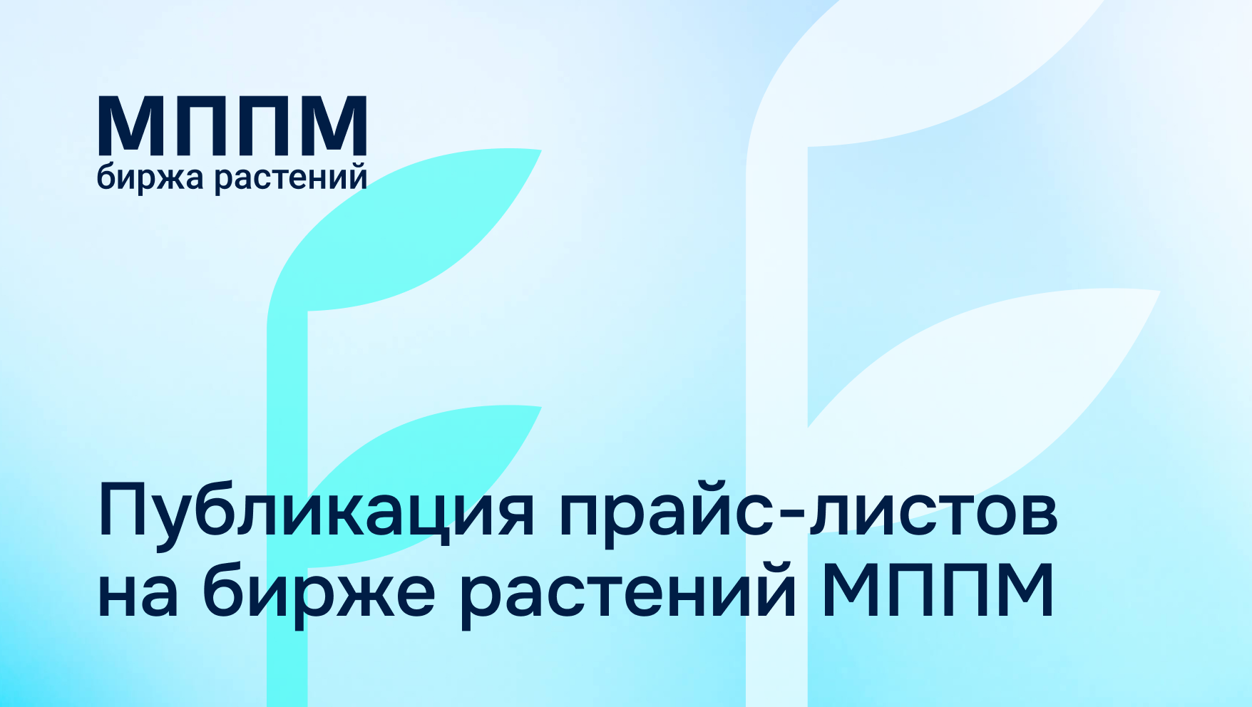 Публикация прайс-листа